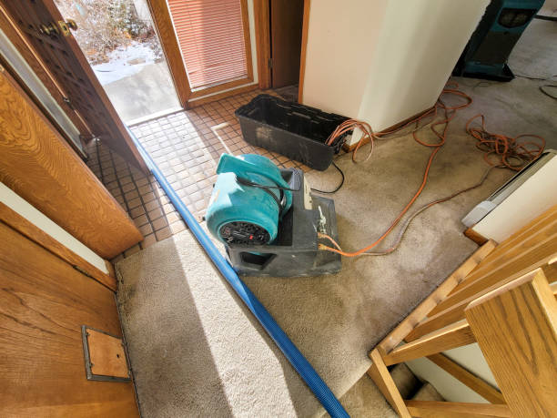 Trusted Water Damage Restoration in Cottage City, MD | Fast, Reliable, and Ready to Assist You